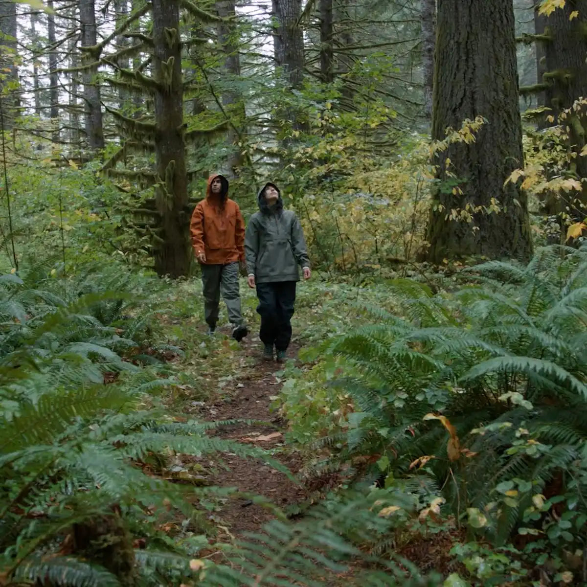 Cascade Crest Packable 3L GTX Rain Pants Dusty Olive - Image 13